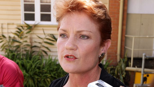 The Masked Lib: Pauline Hanson and the comeback the Left enabled