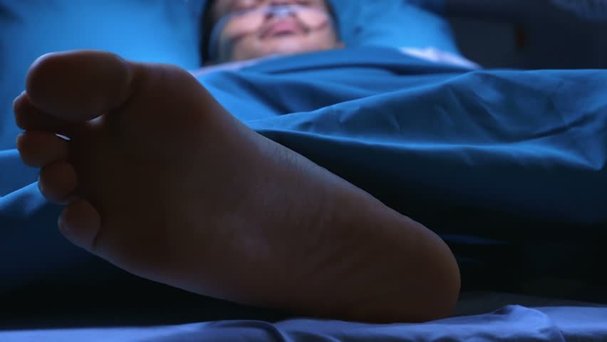 US Democracy admitted to ICU in critical condition