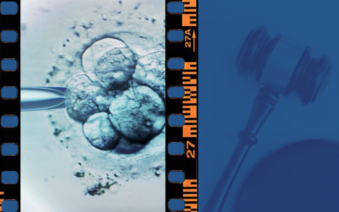 Covid and divorce: Who gets to keep the frozen embryos?