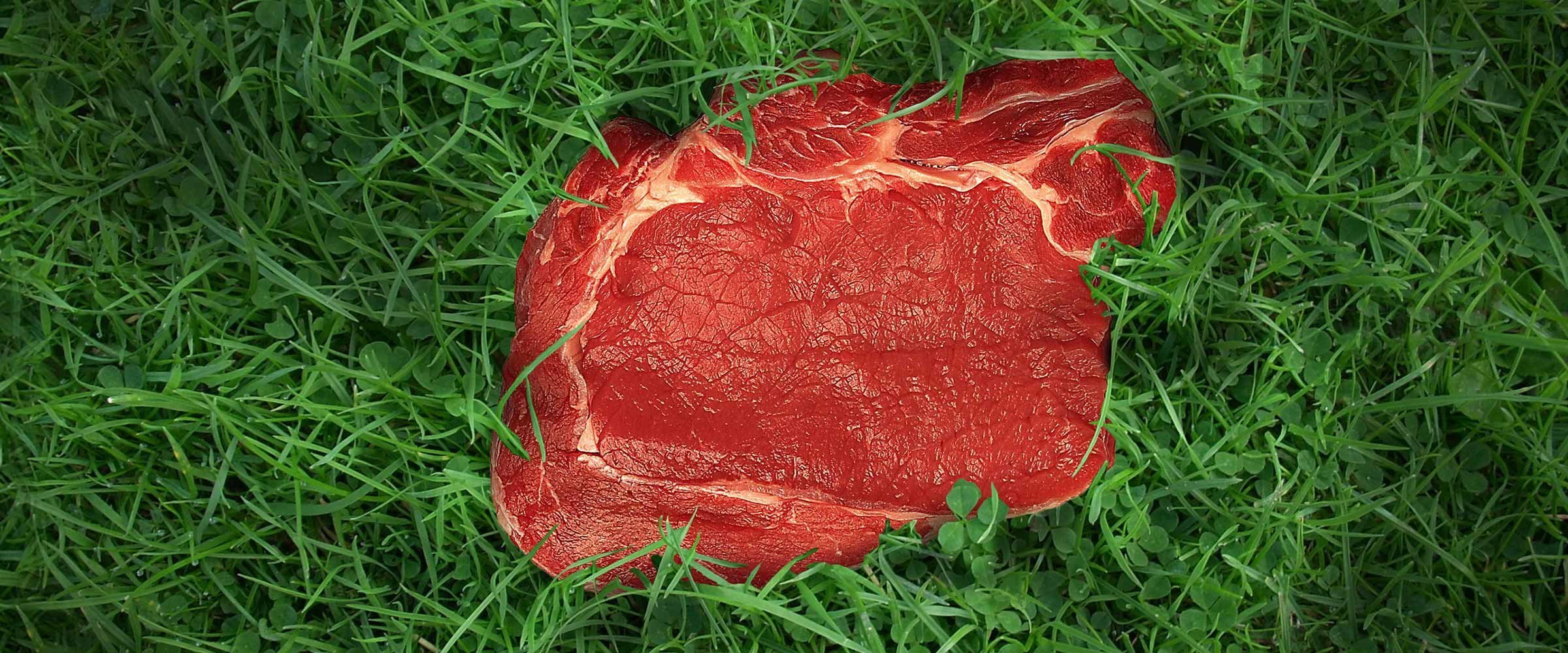 Want the most vegan option in the supermarket? Check the meat aisle