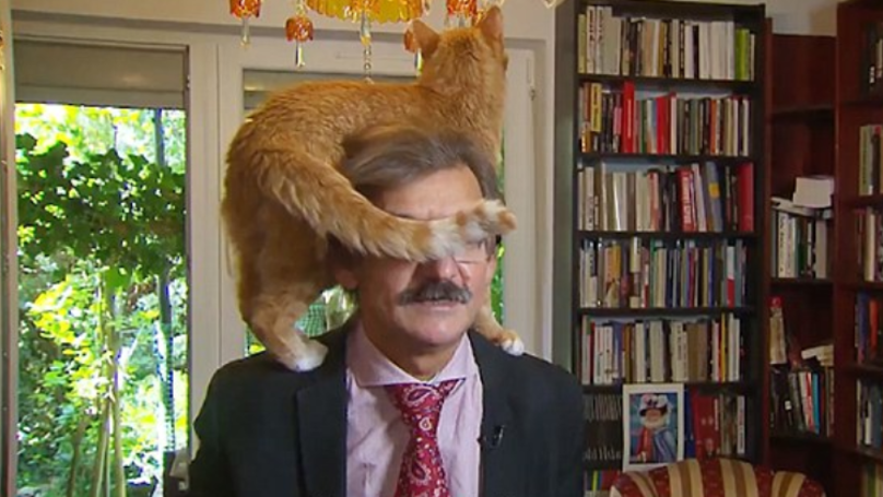 Cat cares not for Poland’s problems, ruins interview