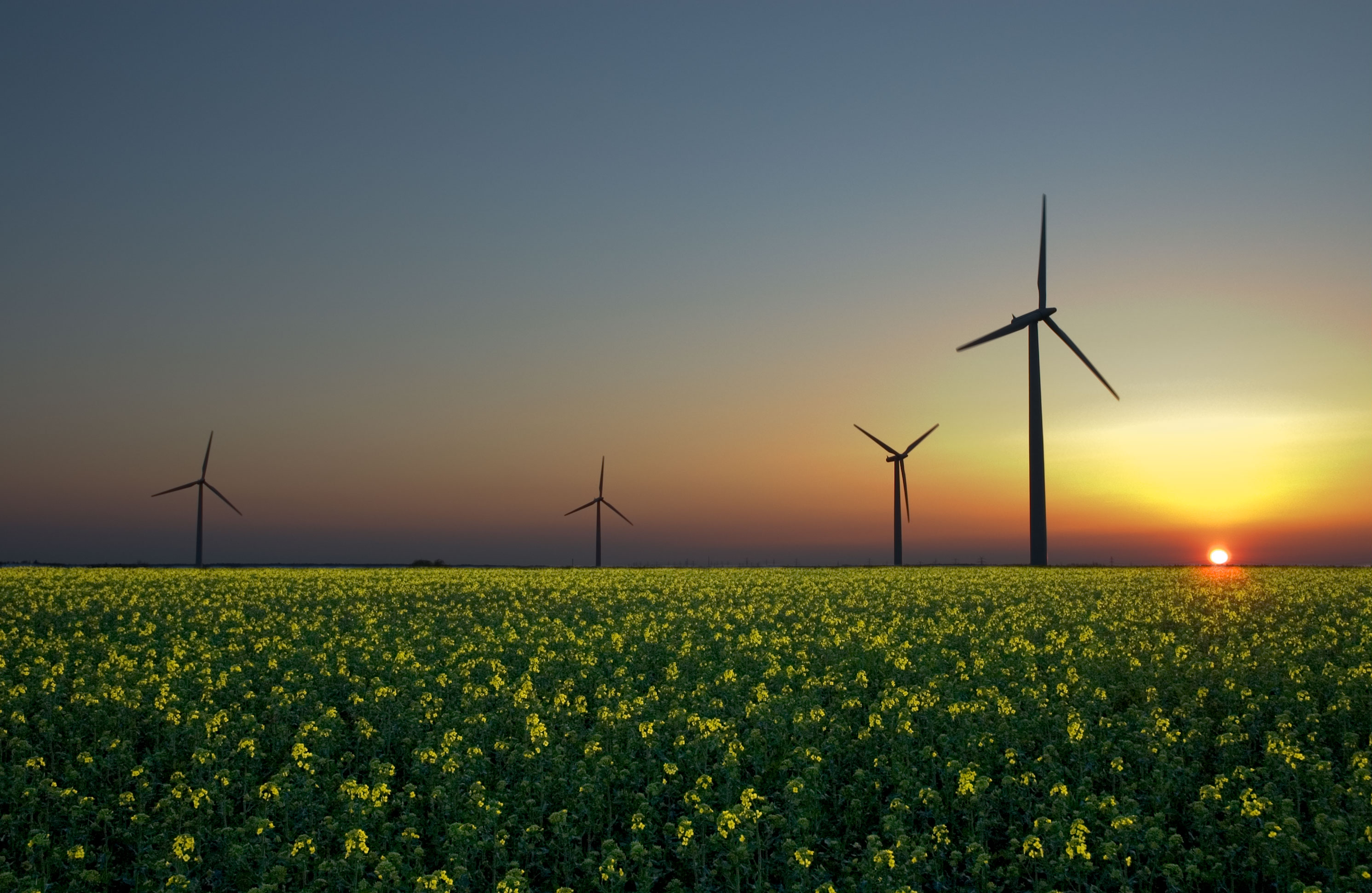 Smoke Signal: Renewable energy still lights up bright future