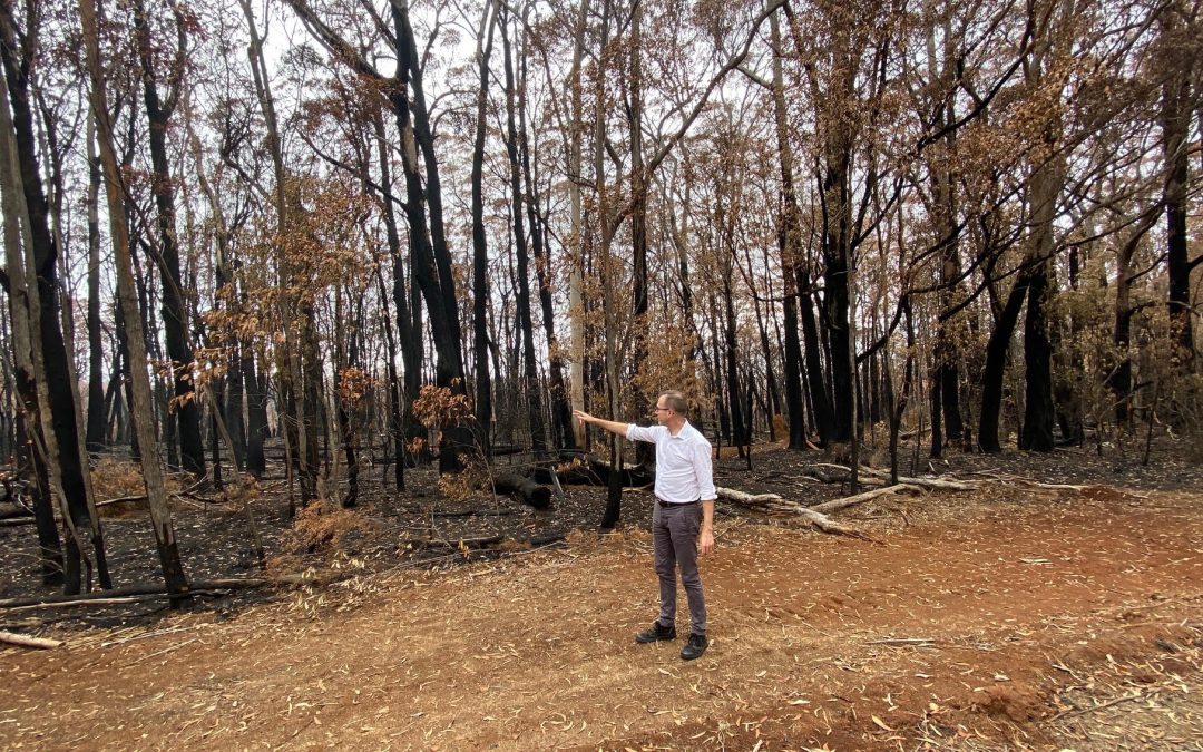 The fire-affected people of NSW don’t want ad hoc policy, they want to be listened to