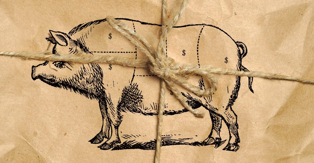Pork-barrelling isn’t a crime…it should be