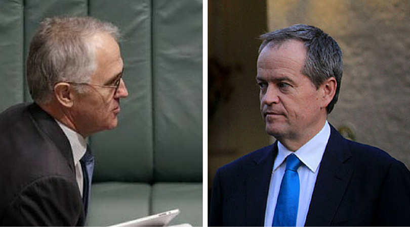 The blunder down under: TBS election pre-fight preview