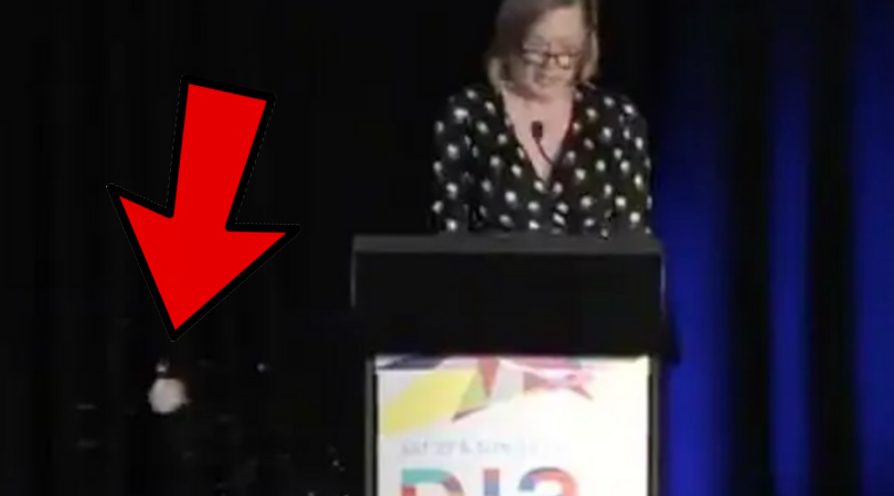 The yoghurting of Leigh Sales leaves a bad taste