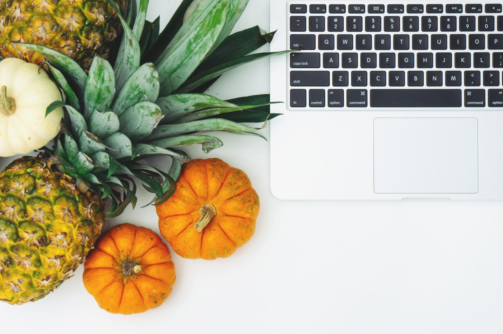 Study shows Keto, Vegan diets only work if you tell everyone about it