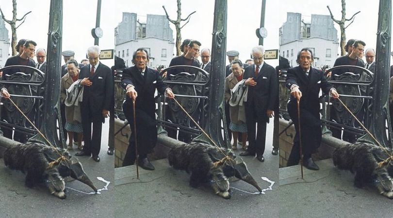 Five highly unusual pets of five extremely notable artists