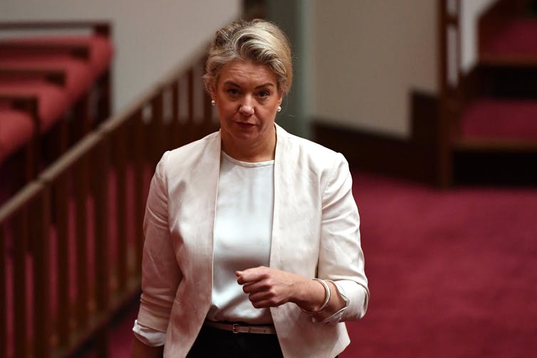 Gaetjens defends report clearing Libs of buying votes, blames McKenzie
