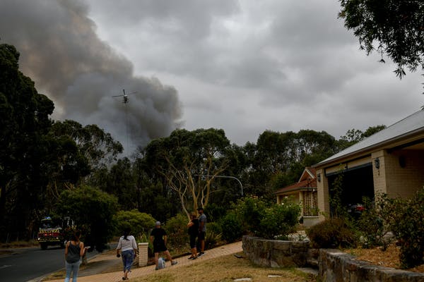 Forrest for the trees: Is Twiggy’s vision to stop bushfires in an hour realistic?