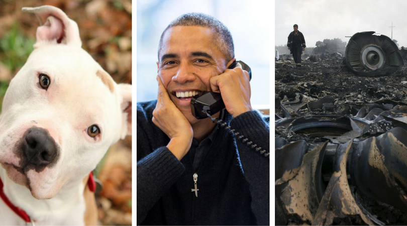 While you were asleep: 9/11 compo bill, Canada pit bull ban, MH17 downed by Russia