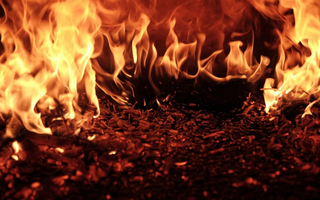 Morrison: “Only 11,568 more thoughts and prayers needed to stop bushfires”