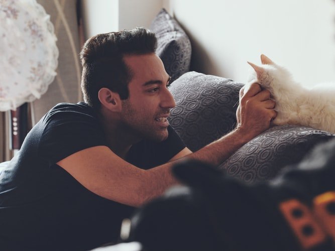 When dudes add cats to their dating apps: an investigation