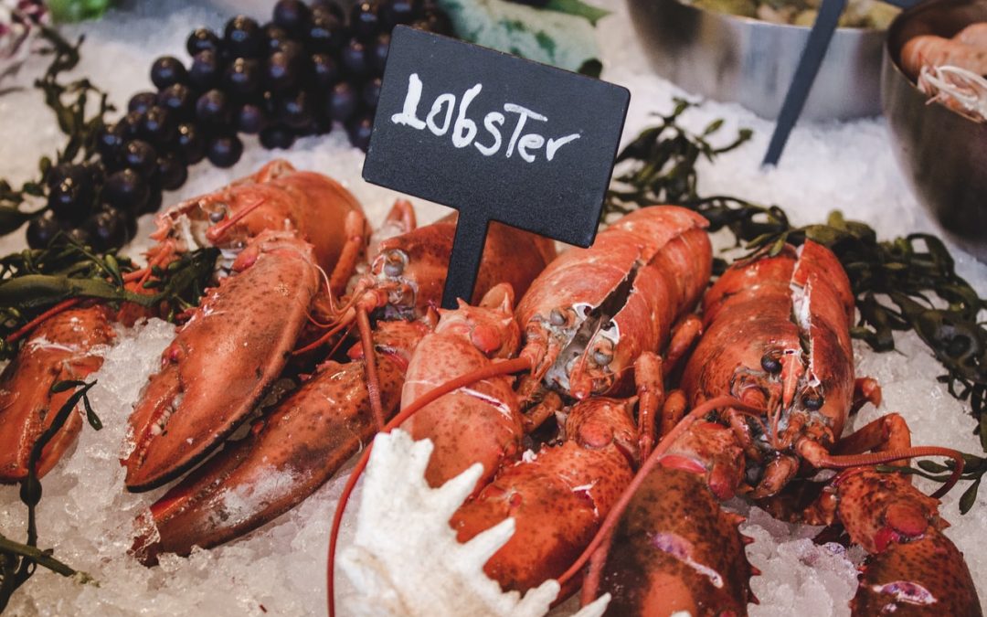 Lobsters have feelings and shouldn’t be boiled, UK rules