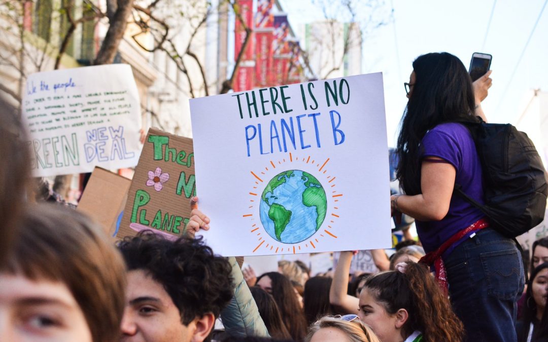 Five ways you can fight climate change (when your government won’t)