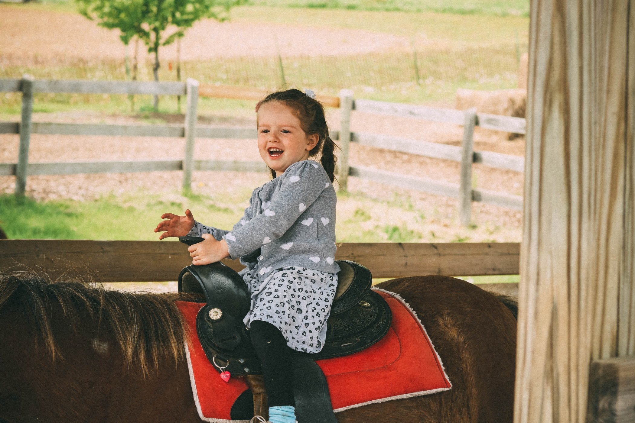 A horse, a crying child and no parental remorse in Mongolia