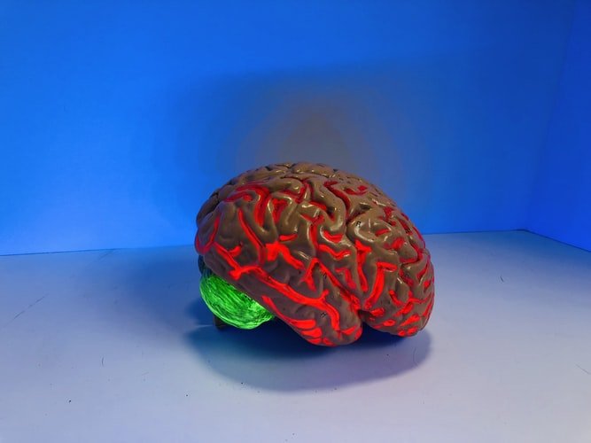 Researchers 3D print rubber-like brain implants