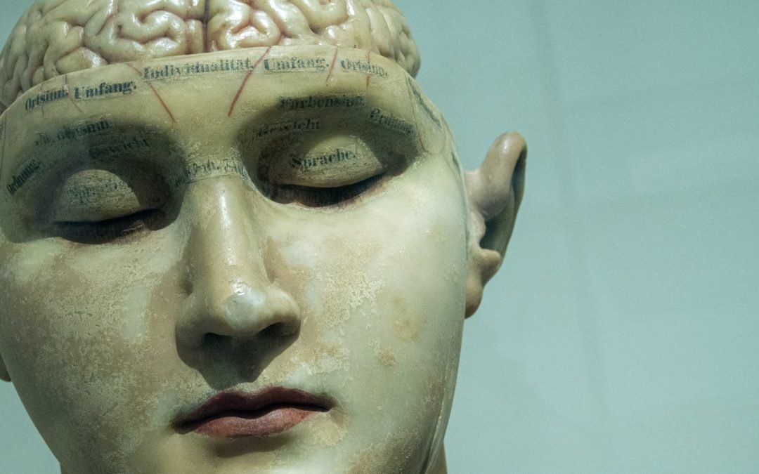 Scientists restore consciousness in vegetative brain